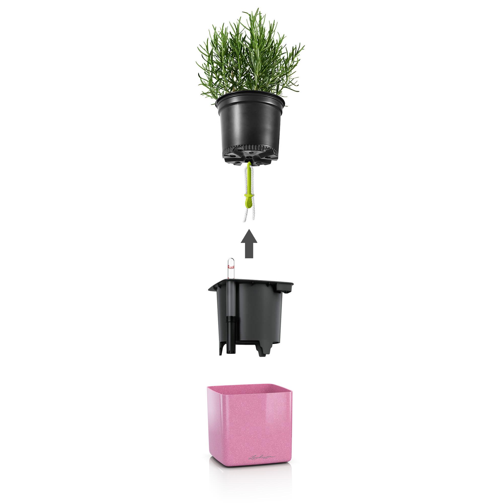 le_cube-glossy-kiss_product_addi_explosion